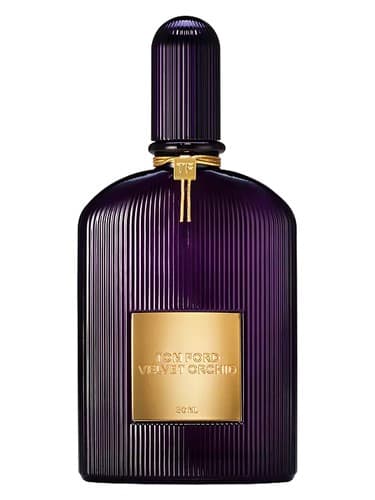 Velvet-Orchid