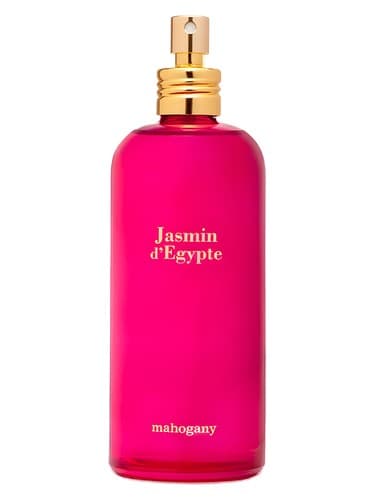 Jasmin-D-Egypte