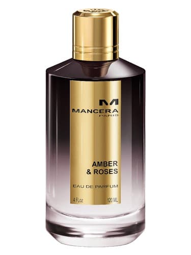 Amber-Roses