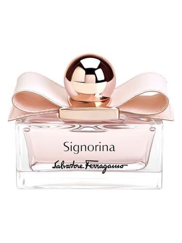 Signorina-Leather-Edition
