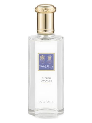 English-Lavender