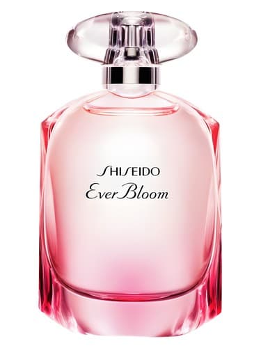 Ever-Bloom