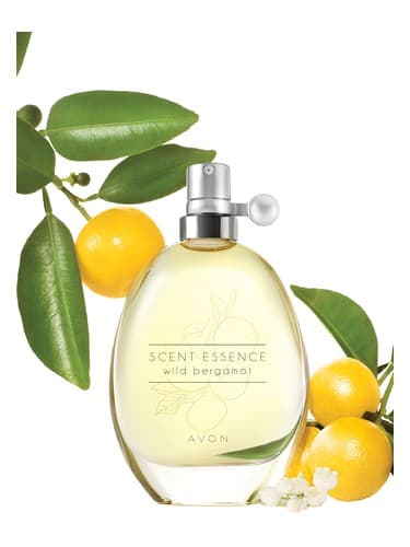 Scent-Essence-Wild-Bergamot