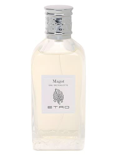 Magot