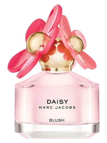 Daisy-Blush