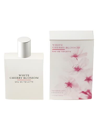 White-Cherry-Blossom
