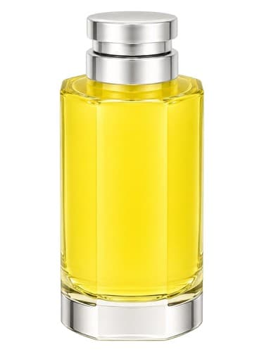 Ines-De-La-Fressange