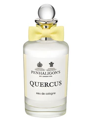 Quercus