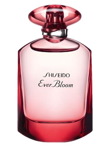 Ever-Bloom-Ginza-Flower