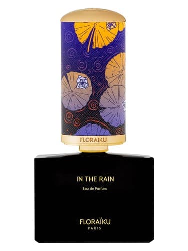 In-The-Rain
