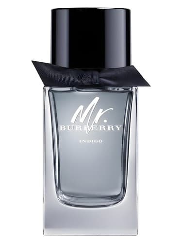 Mr-Burberry-Indigo