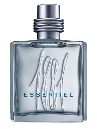 1881-Essentiel