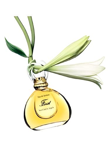 First-Jasmin-De-Chine