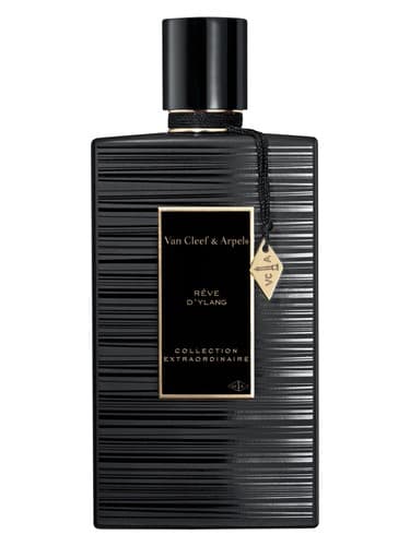 Reve-D-Ylang