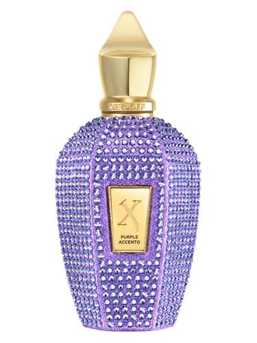 Purple-Accento