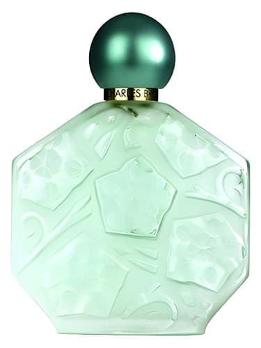 Fleurs-D-Ombre-Jasmin-Lilas