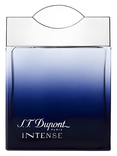 S-T-Dupont-Intense-Pour-Homme