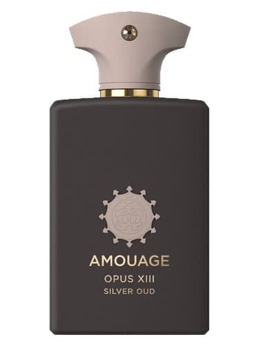 Opus-Xiii-Silver-Oud