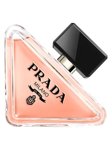 Prada-Paradoxe