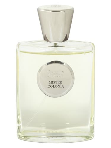 Mister-Colonia