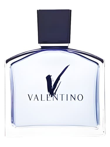 V-Pour-Homme