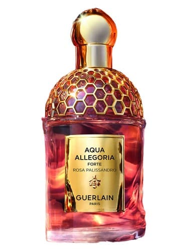 Aqua-Allegoria-Forte-Rosa-Palissandro