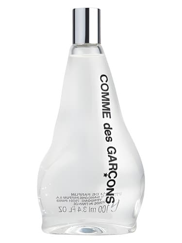 Comme-Des-Garcons-2011