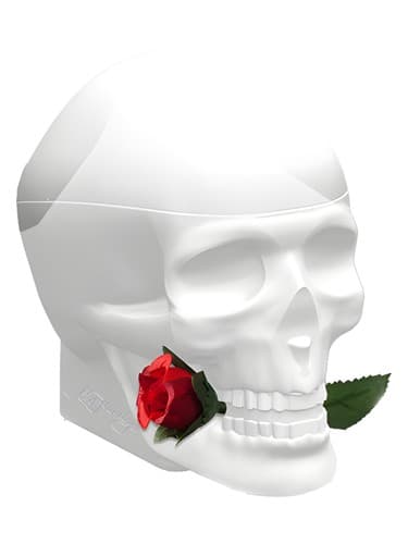 Ed-Hardy-Skulls-Roses-For-Her