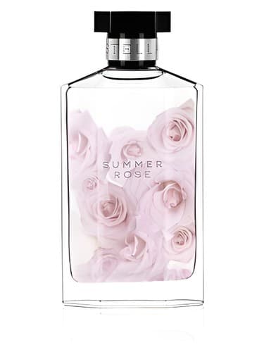 Stella-Summer-Rose
