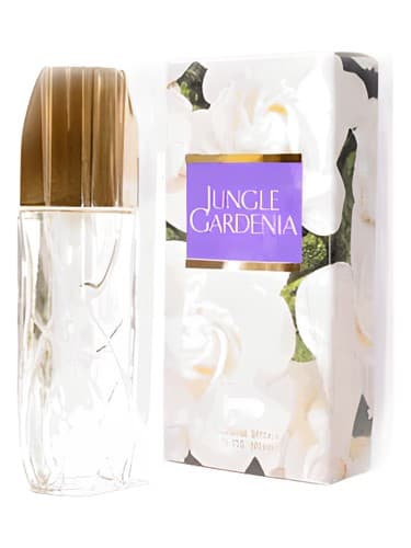 Jungle-Gardenia