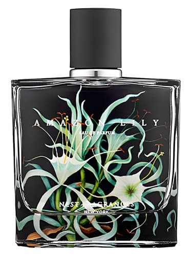 Amazon-Lily
