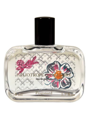 Heliotrope-Gingembre