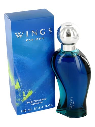 Wings-For-Men
