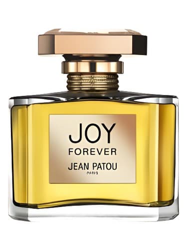 Joy-Forever