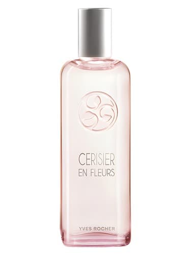 Cerisier-En-Fleurs
