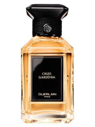 Cruel-Gardenia