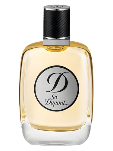So-Dupont-Pour-Homme