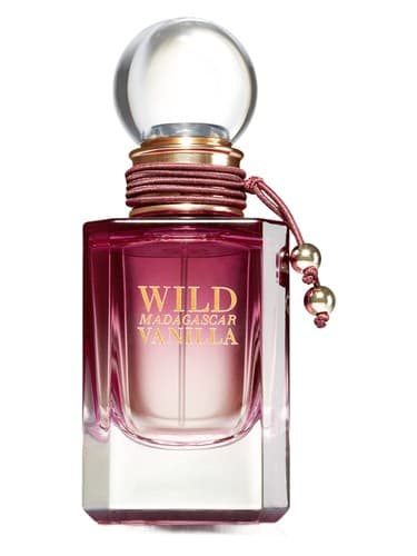Wild-Madagascar-Vanilla
