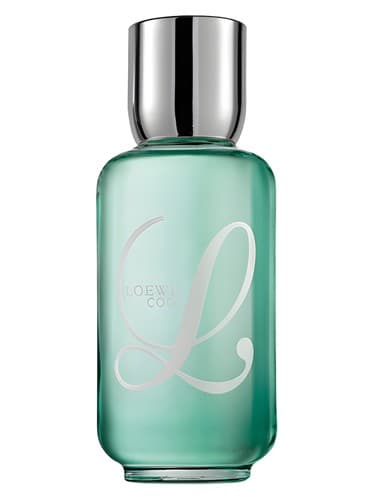 Loewe-L-Cool