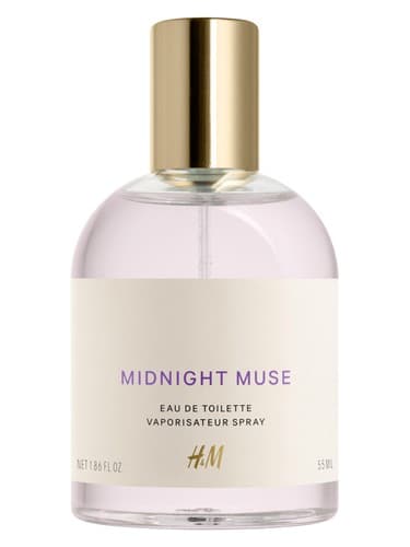 Midnight-Muse