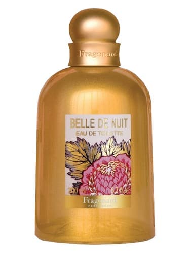 Belle-De-Nuit
