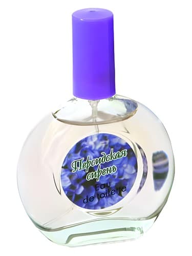Persian-Lilac