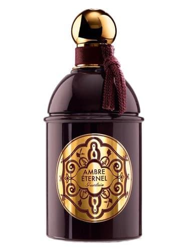 Les-Absolus-D-Orient-Ambre-Eternel