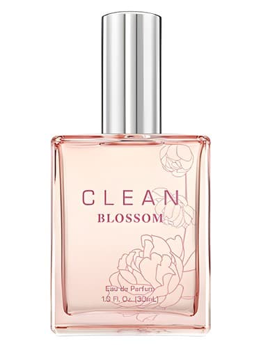 Clean-Blossom