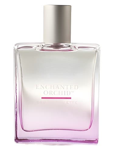 Enchanted-Orchid