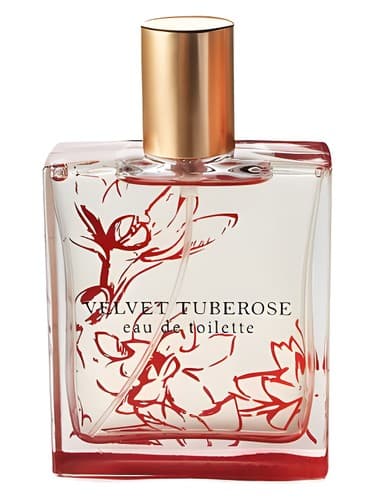 Velvet-Tuberose