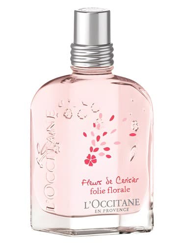 Fleurs-De-Cerisier-Folie-Florale