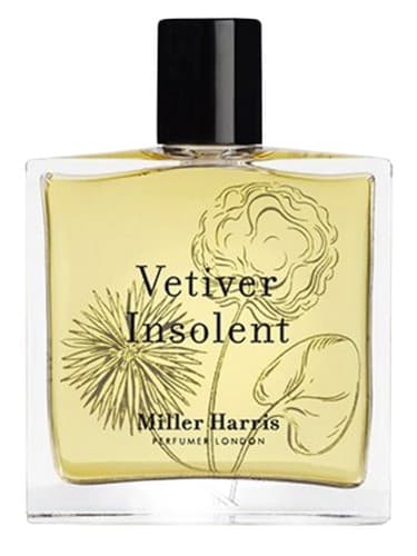 Vetiver-Insolent
