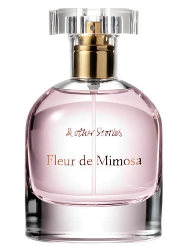 Fleur-De-Mimosa