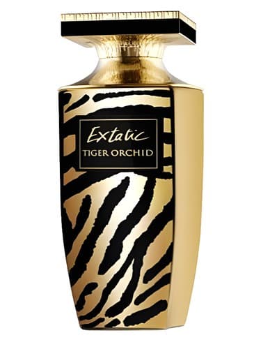 Extatic-Tiger-Orchid